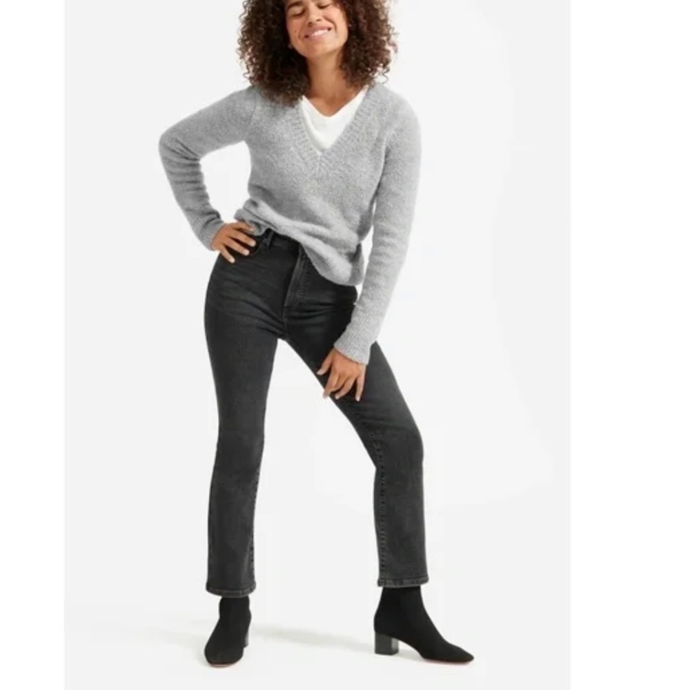 NWT Everlane gray wool v-neck sweater teddy knit classic length fuzzy sweater XS